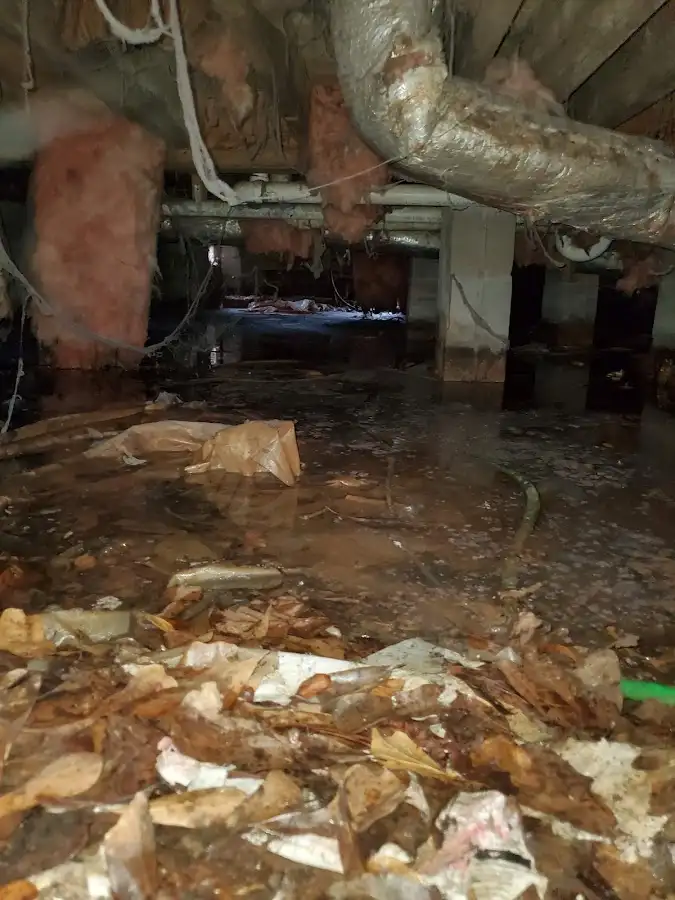 Crawl space flood assessment for Leak Detection & Repair in Bayonet Point