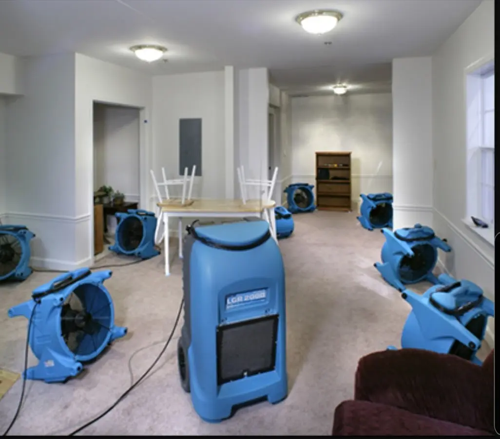 Air movers and dehumidifier setup for Water Extraction & Removal in Bayonet Point